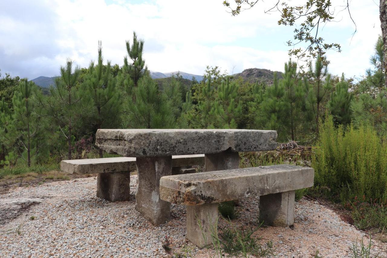 Outeiro Do Moinho Bed and Breakfast Campo do Geres Εξωτερικό φωτογραφία